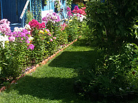 Устройство газонов