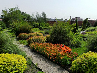 Устройство газонов