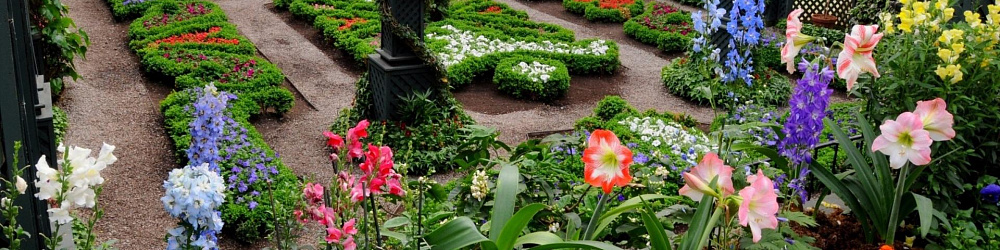 Проектирование зимнего сада